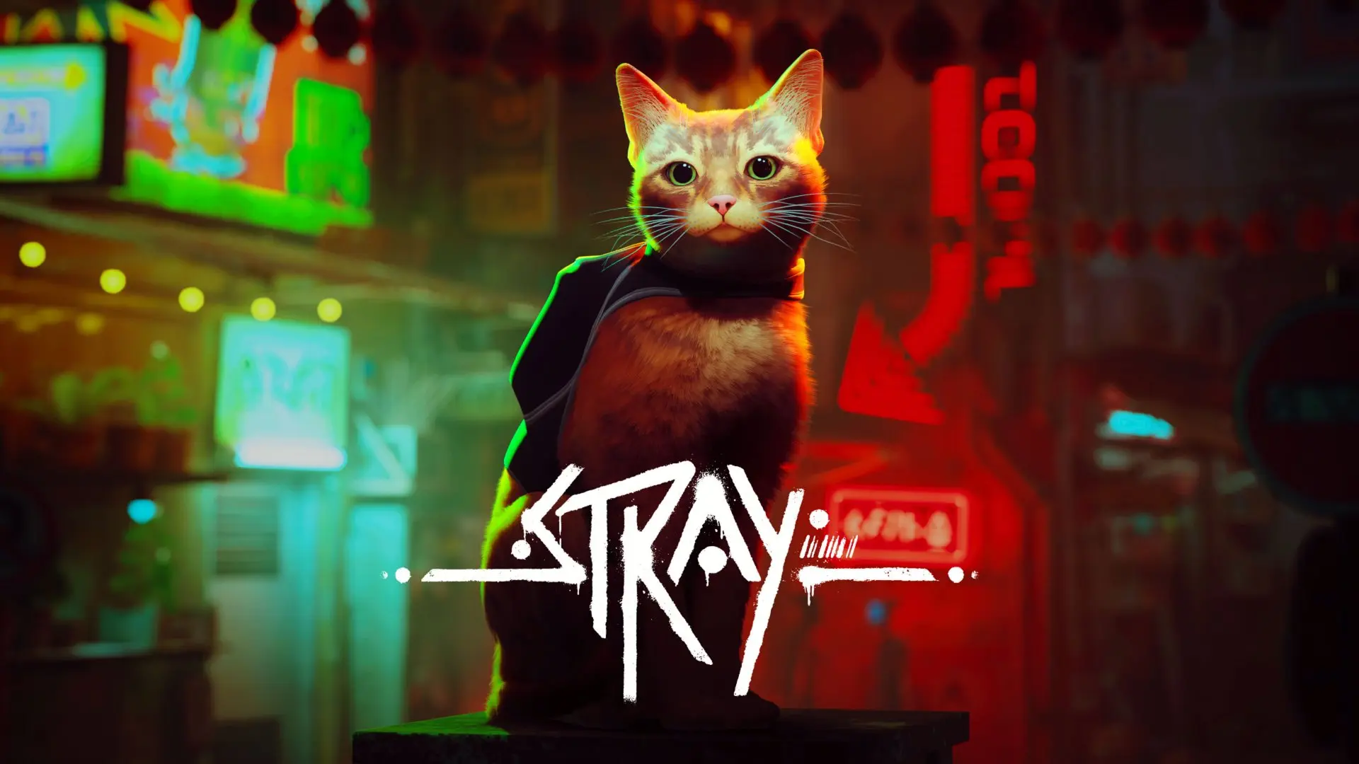 تحميل لعبة Stray للكمبيوتر مجانا النسخة الاصلية آخر تحديث